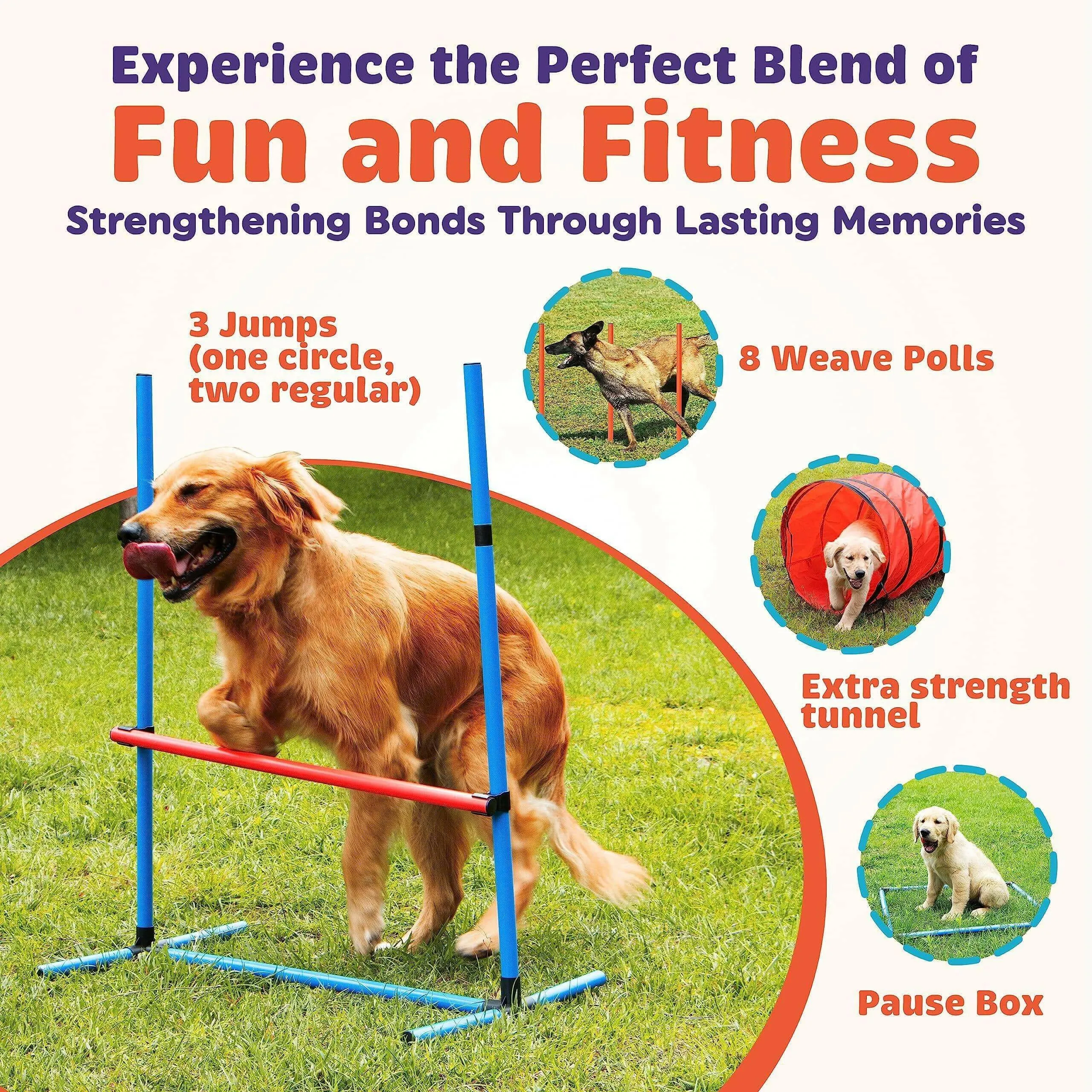 15 Piece Dog Agility Course Backyard Set  Dog Agility Training