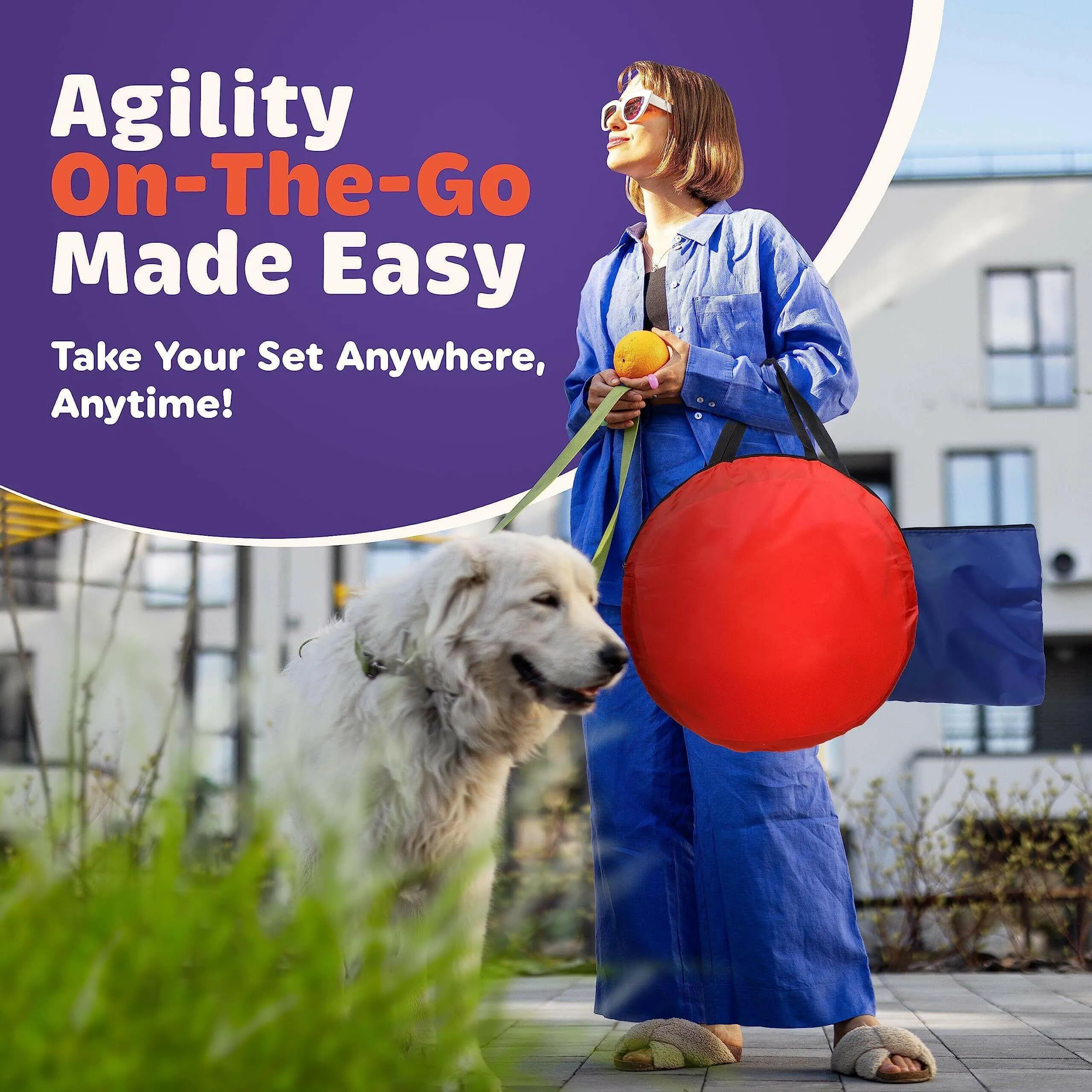 15 Piece Dog Agility Course Backyard Set  Dog Agility Training