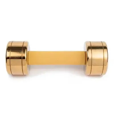 Blogilates Dumbbells - Gold 10lbs