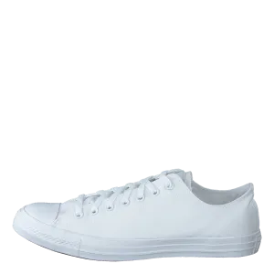 Chuck Taylor All Star Ox White Mono