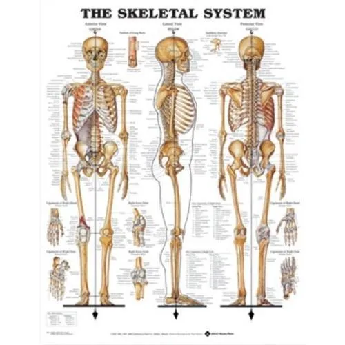 First Aid Room Chart