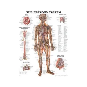 First Aid Room Chart