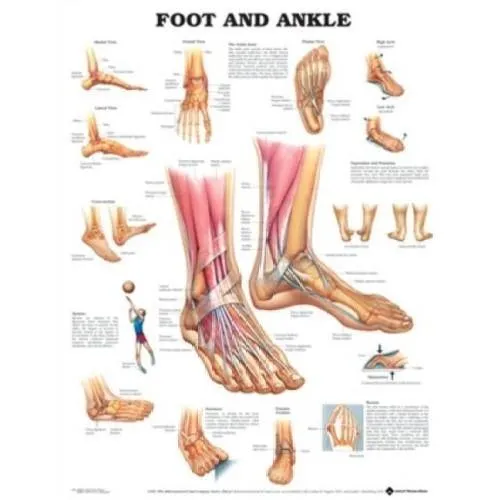 First Aid Room Chart