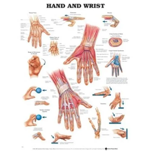 First Aid Room Chart