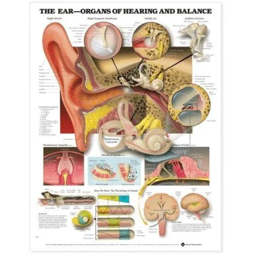 First Aid Room Chart