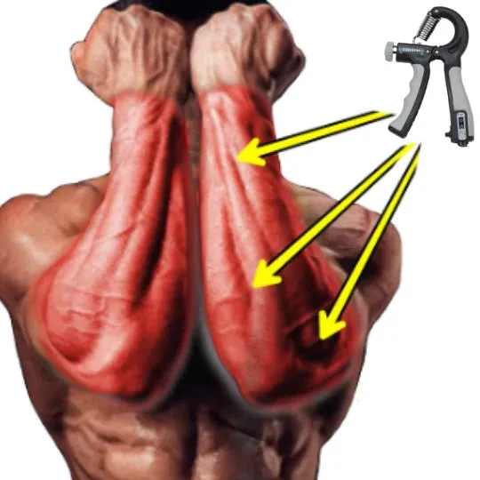 Flexor Force   Complete Workout for Muscle Mass Gain