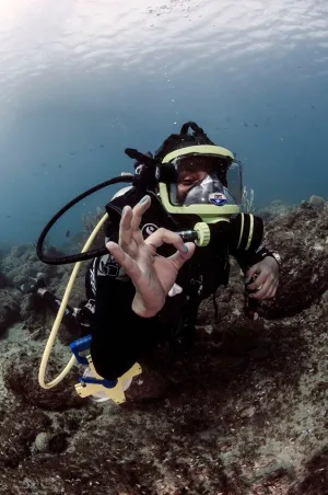 Full Face Mask Diver