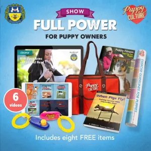 Full Power of Puppy Culture for Show Puppy Owners