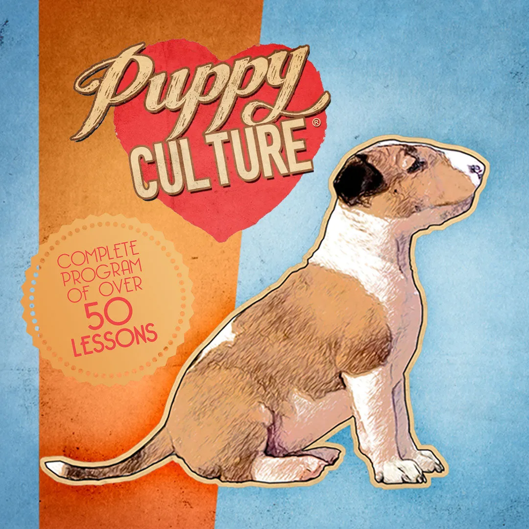 Full Power of Puppy Culture for Show Puppy Owners