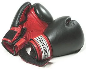 ProForce Leatherette Boxing Gloves w/Red Palm