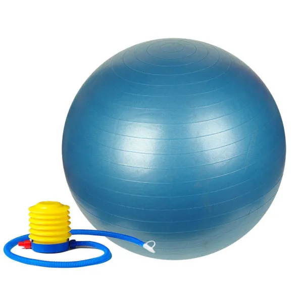 Sunny Fitness Anti Burst Exercise Ball With Pump