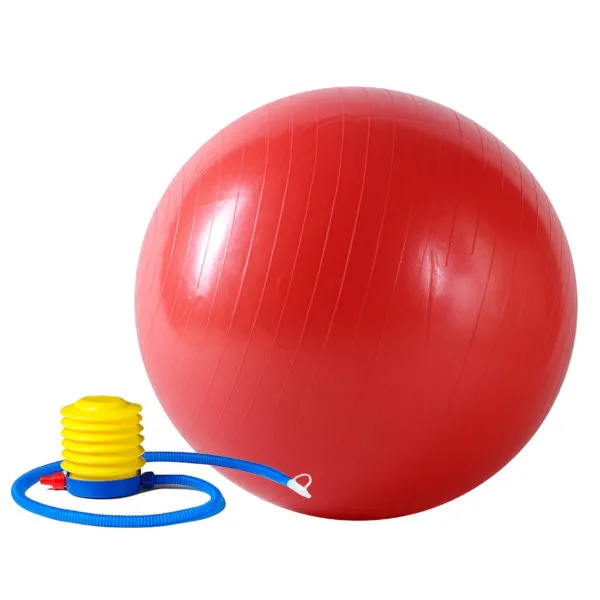 Sunny Fitness Anti Burst Exercise Ball With Pump