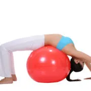 Sunny Fitness Anti Burst Exercise Ball With Pump