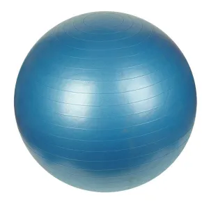 Sunny Fitness Anti Burst Exercise Ball With Pump