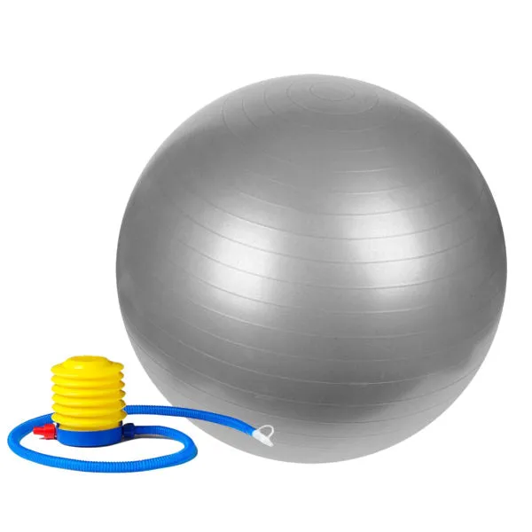 Sunny Fitness Anti Burst Exercise Ball With Pump