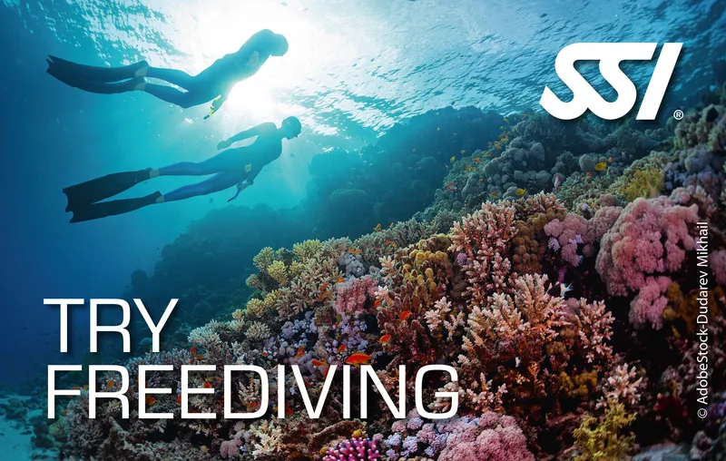 Try Freediving with Dive Newcastle