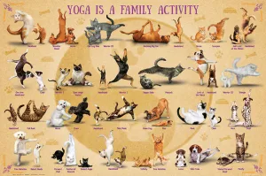 Yoga Dogs and Cats "Yoga is a Family Activity" Fitness Poster - Eurographics Inc.