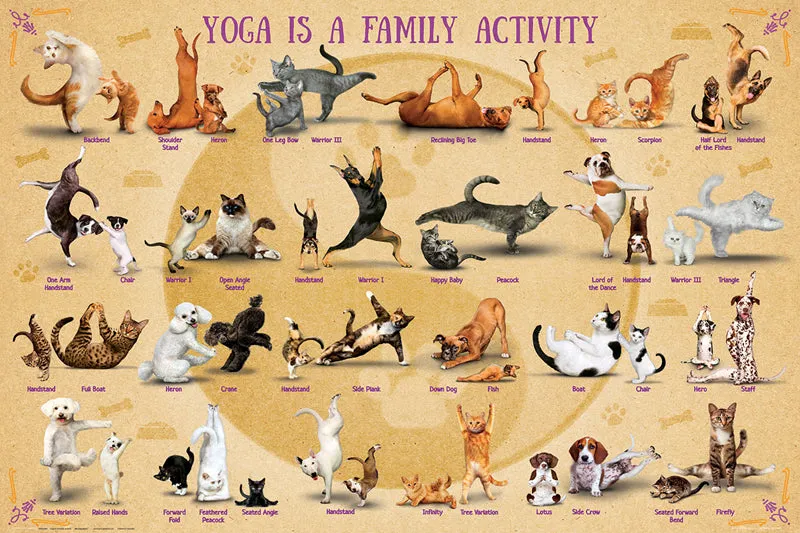 Yoga Dogs and Cats "Yoga is a Family Activity" Fitness Poster - Eurographics Inc.